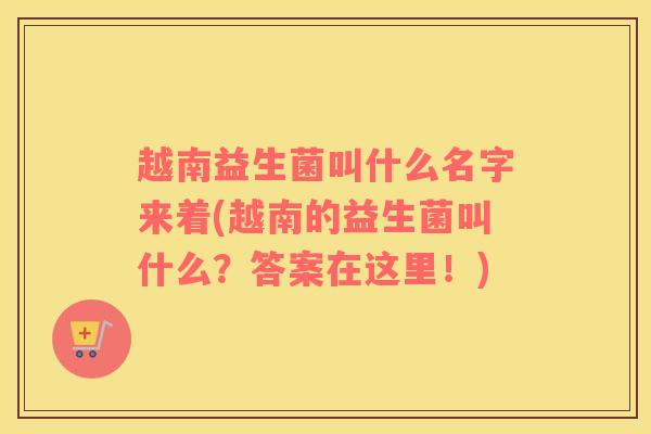 越南益生菌叫什么名字来着(越南的益生菌叫什么？答案在这里！)