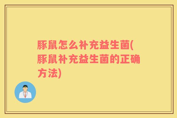 豚鼠怎么补充益生菌(豚鼠补充益生菌的正确方法)