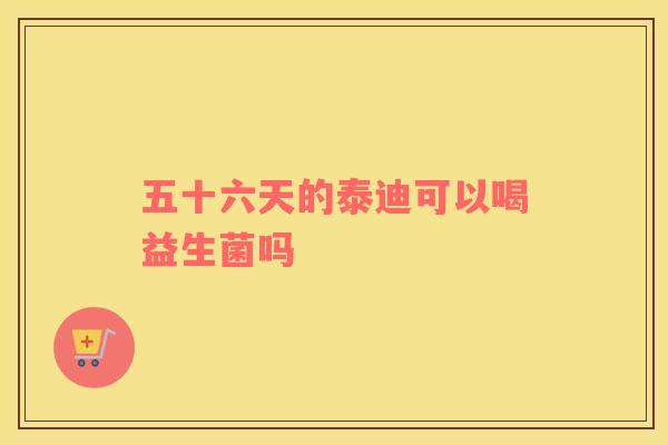 五十六天的泰迪可以喝益生菌吗