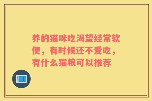 养的猫咪吃渴望经常软便，有时候还不爱吃，有什么猫粮可以推荐