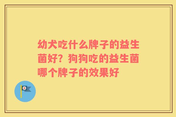 幼犬吃什么牌子的益生菌好？狗狗吃的益生菌哪个牌子的效果好