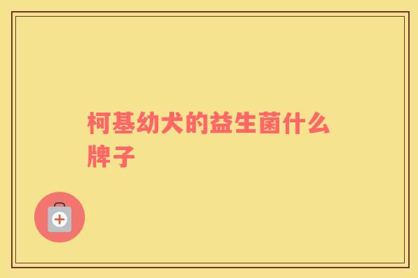 柯基幼犬的益生菌什么牌子