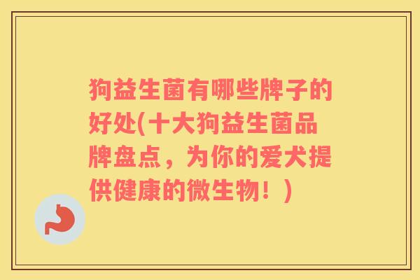狗益生菌有哪些牌子的好处(十大狗益生菌品牌盘点，为你的爱犬提供健康的微生物！)