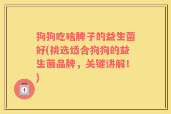 狗狗吃啥牌子的益生菌好(挑选适合狗狗的益生菌品牌，关键讲解！)