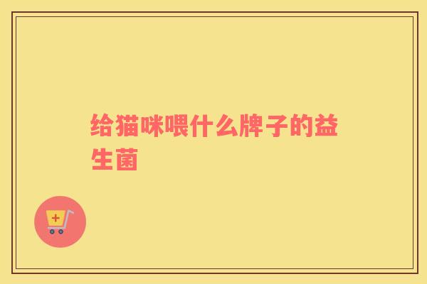 给猫咪喂什么牌子的益生菌