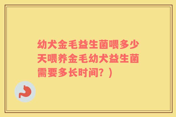 幼犬金毛益生菌喂多少天喂养金毛幼犬益生菌需要多长时间？)