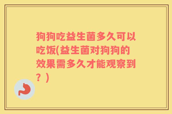 狗狗吃益生菌多久可以吃饭(益生菌对狗狗的效果需多久才能观察到？)