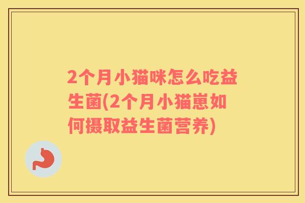 2个月小猫咪怎么吃益生菌(2个月小猫崽如何摄取益生菌营养)