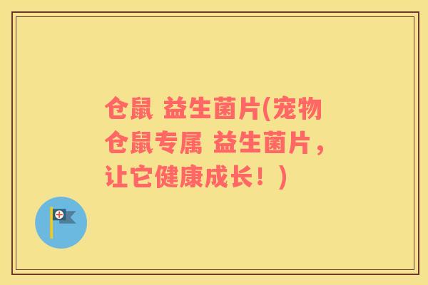 仓鼠 益生菌片(宠物仓鼠专属 益生菌片，让它健康成长！)