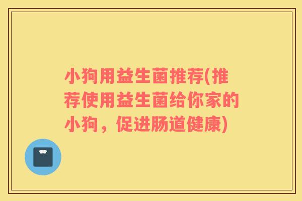 小狗用益生菌推荐(推荐使用益生菌给你家的小狗，促进肠道健康)