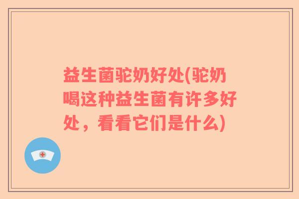 益生菌驼奶好处(驼奶喝这种益生菌有许多好处，看看它们是什么)