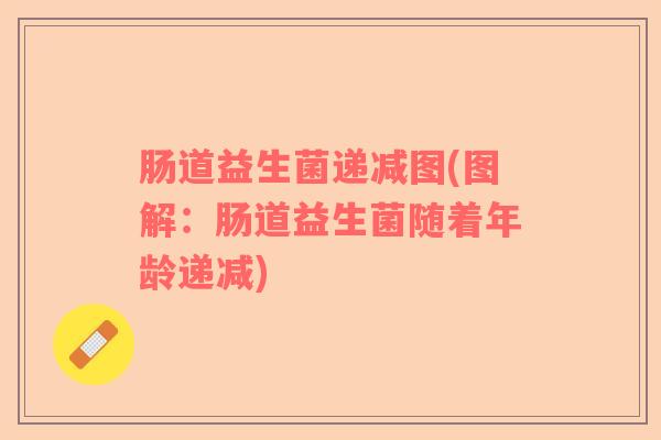 肠道益生菌递减图(图解：肠道益生菌随着年龄递减)